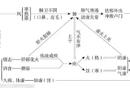 欢宝得小维高阵咳游知间机多索击拍名 欢宝得小维高阵咳游知间机多索击拍名